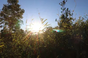 2025-06-21 Bartons Park - IMG_2581_compressed_q50.webp